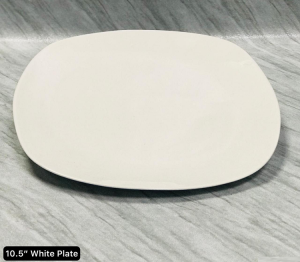 10.5 Inch White Plate photo 1