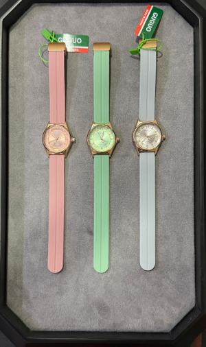 GuGuo Ladies Strap Watch photo 1