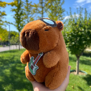 1 Pcs Capybara SoftToy - ACD8-6 photo 1