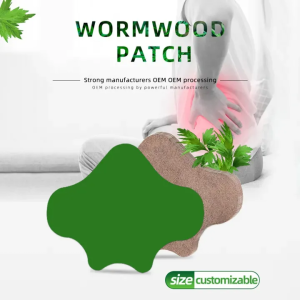 10 Pcs Pain Relief Vertebral Patch photo 1