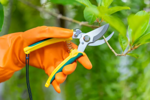 Pruning Garden Shears photo 1