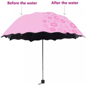 Magic Umbrella photo 1